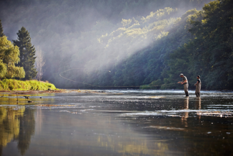 71-nest-poissons-rivierea_bibaut3514