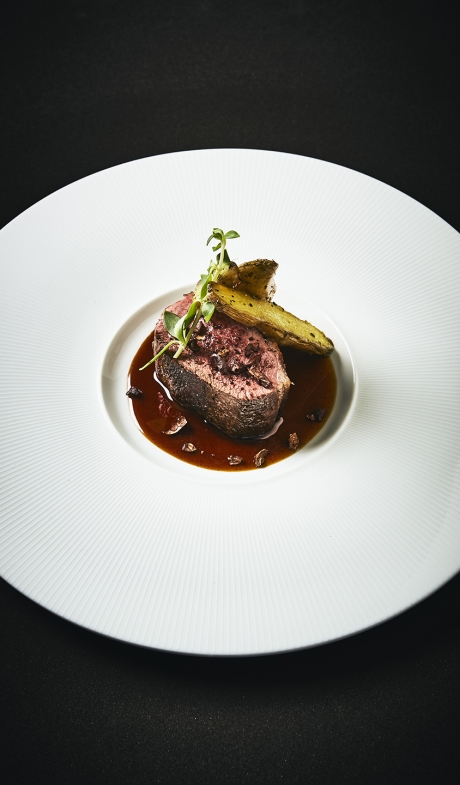 Canard-Darcis16754-©-Alexandre-Bibaut