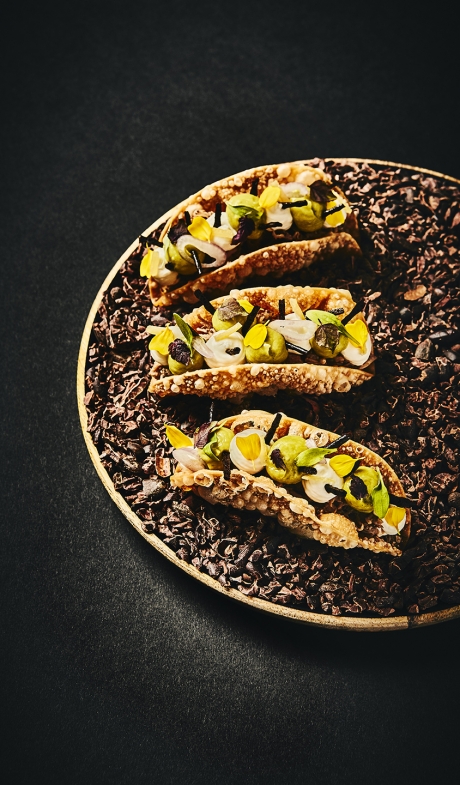 Tacos-ZUUT16783-©-Alexandre-Bibaut