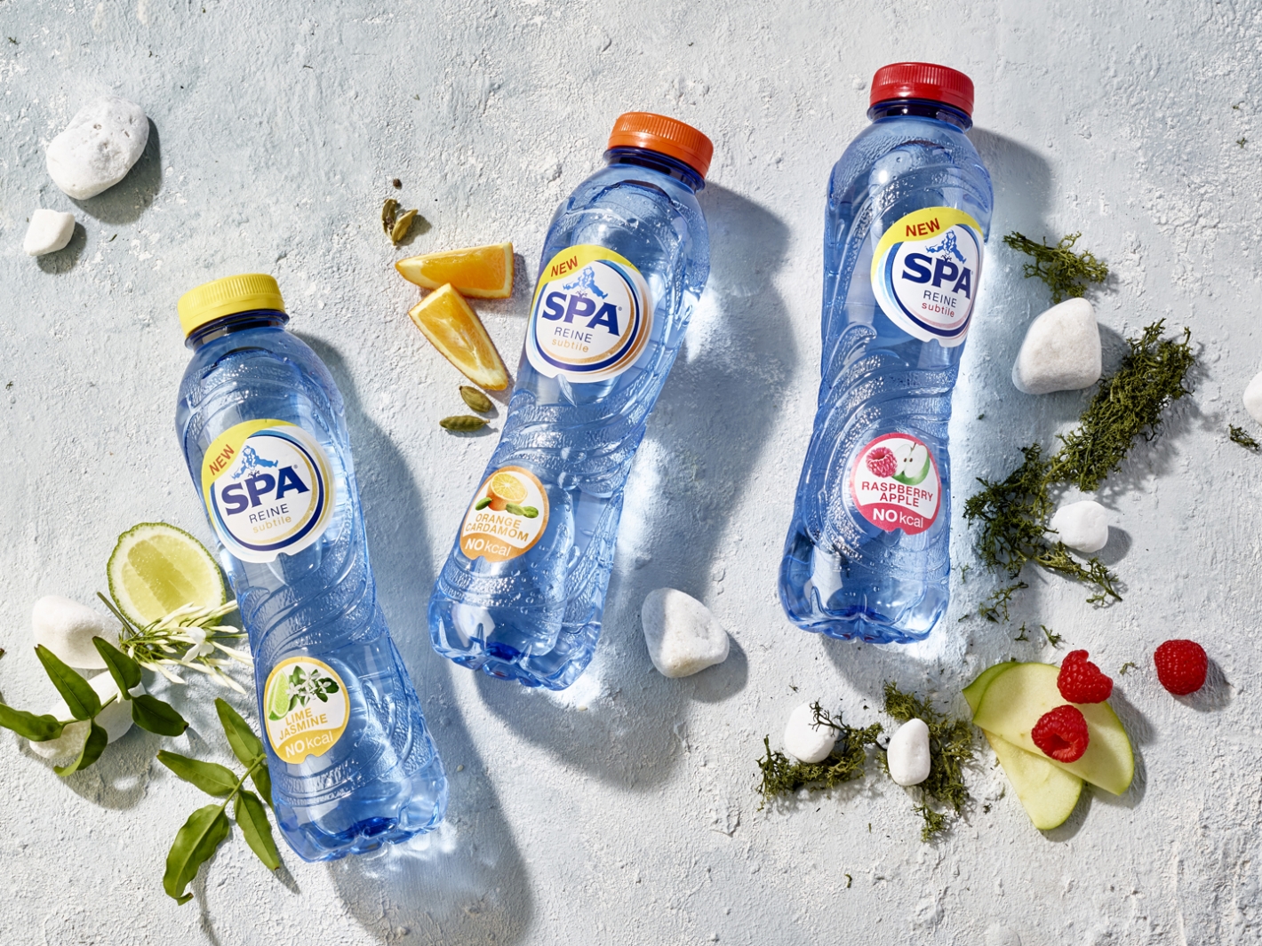 SPA-Reine-Subtile72480-II-©-Alexandre-Bibaut