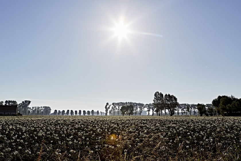 Het-Dischhof-8289-©-Alexandre-Bibaut