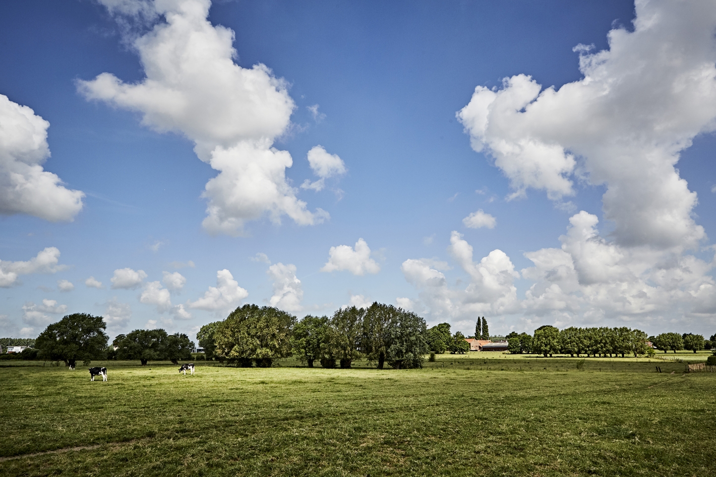 Le-Bailly8222-©-Alexandre-Bibaut